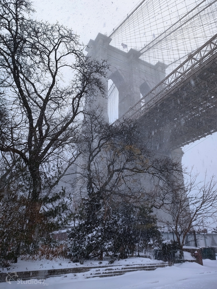 ����������� ����