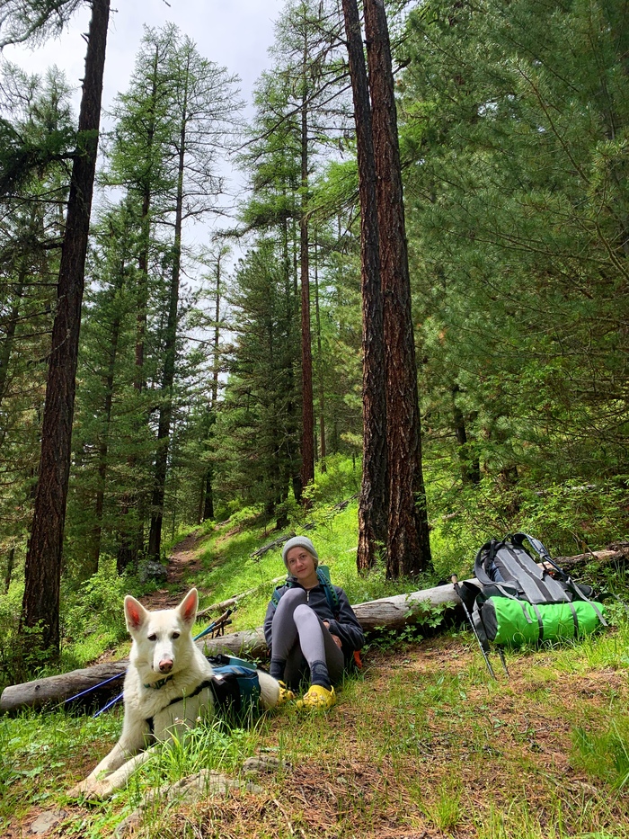 ������ ������ �������� �������, ����� ���������