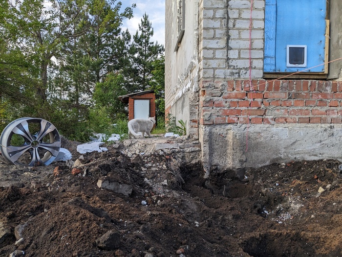 ��� ����� ��� ���������� � ���������� ������� ������� ����� ��������� ����������