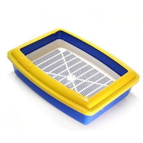 ����� ������� � ���������� ������ �������