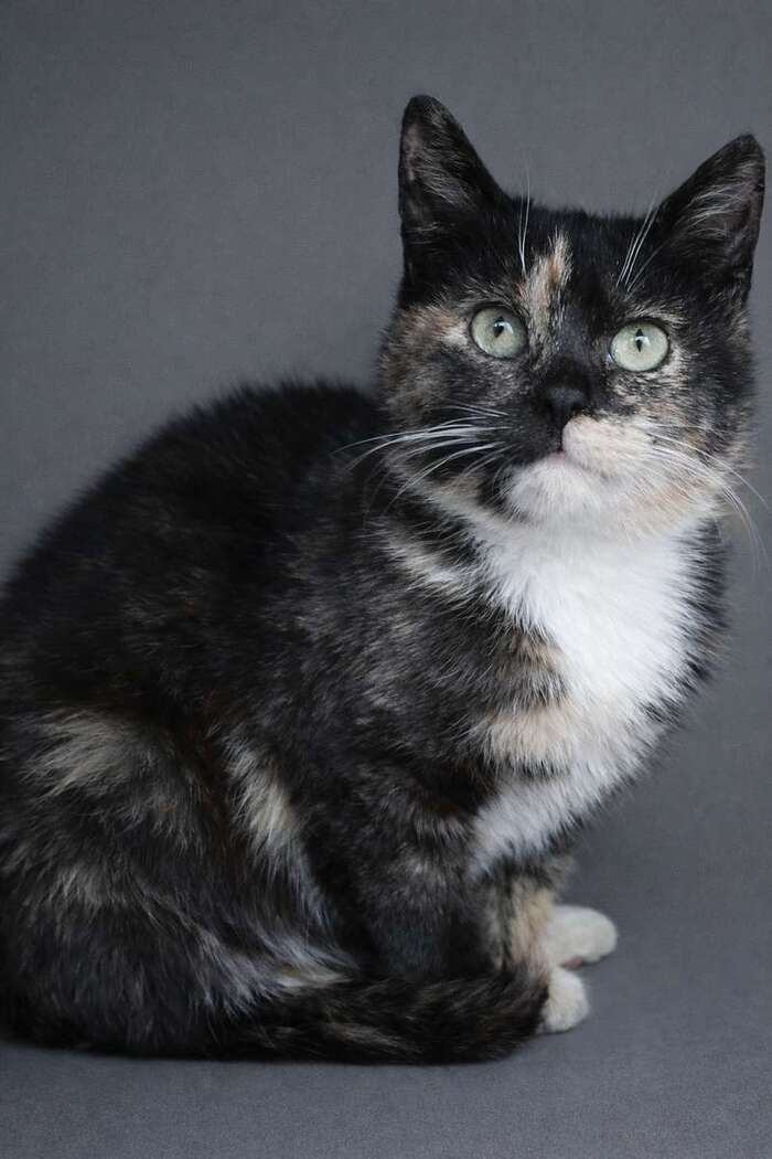 ������� ������� ���� ���� ���! �����-��������� � ��