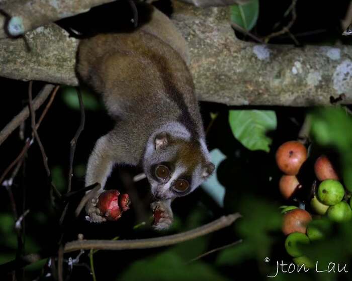 ��������� ���� ��������� �������