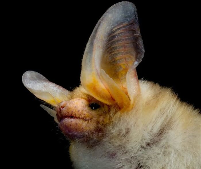 ������� ���������