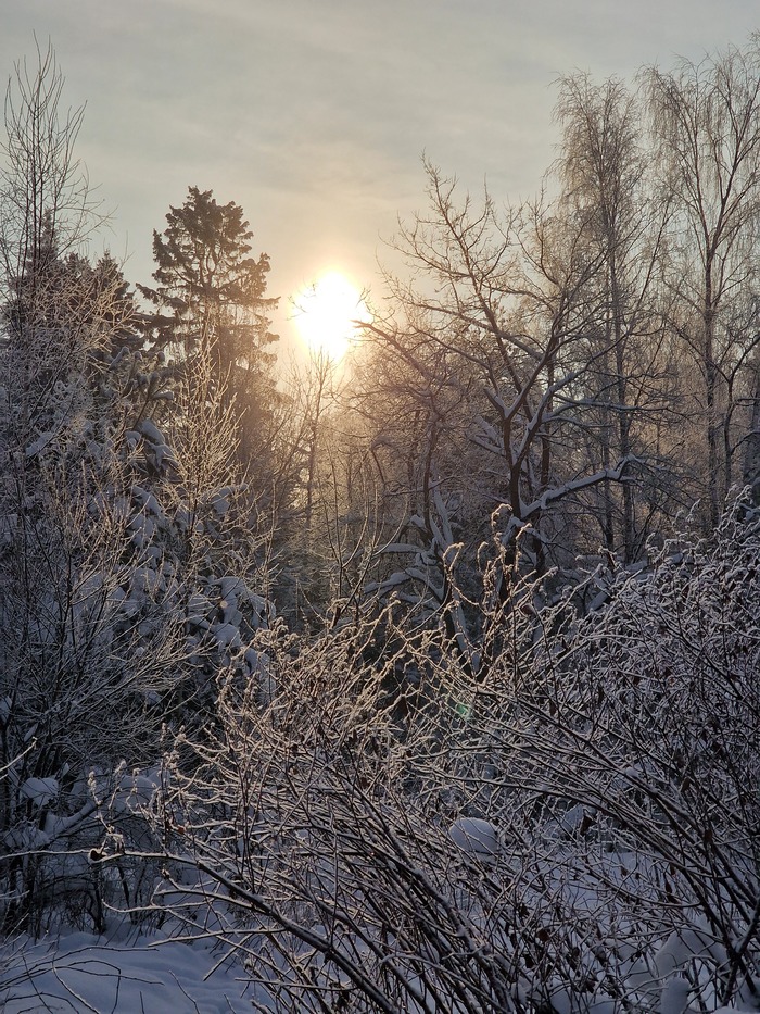 ��������� ���������