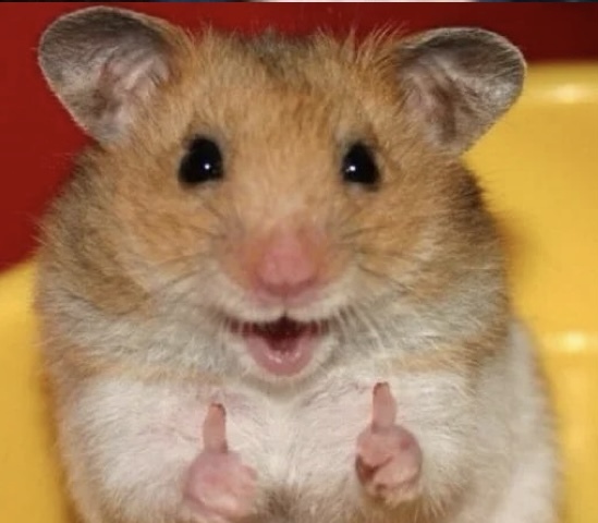 ���������.