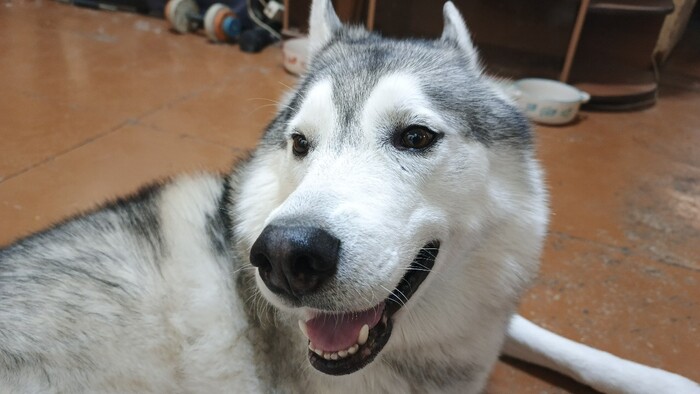 � ����� �� ��� ��� ����� (���� ����), ����� ��� � ��������� ��� ������� � ���������� �� �����, �� ����� �������� �� ������. ���� �� ��������� ������, ������ ���������, ��������� ���� ���� ���������� �������.