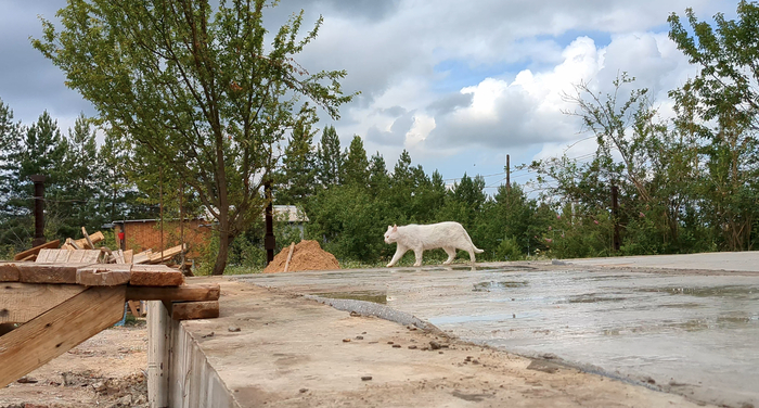 ����� �������� ���� ��� �� �� �����, ����� ������, ������������