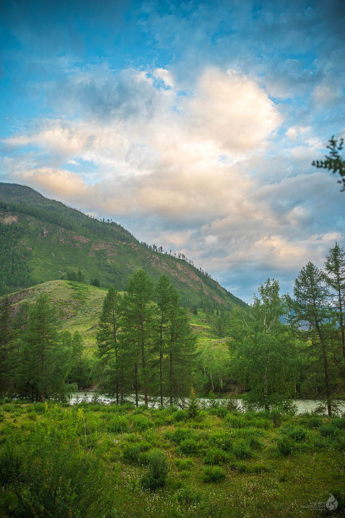 ���� ���