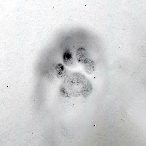 ����� �� ��� ������