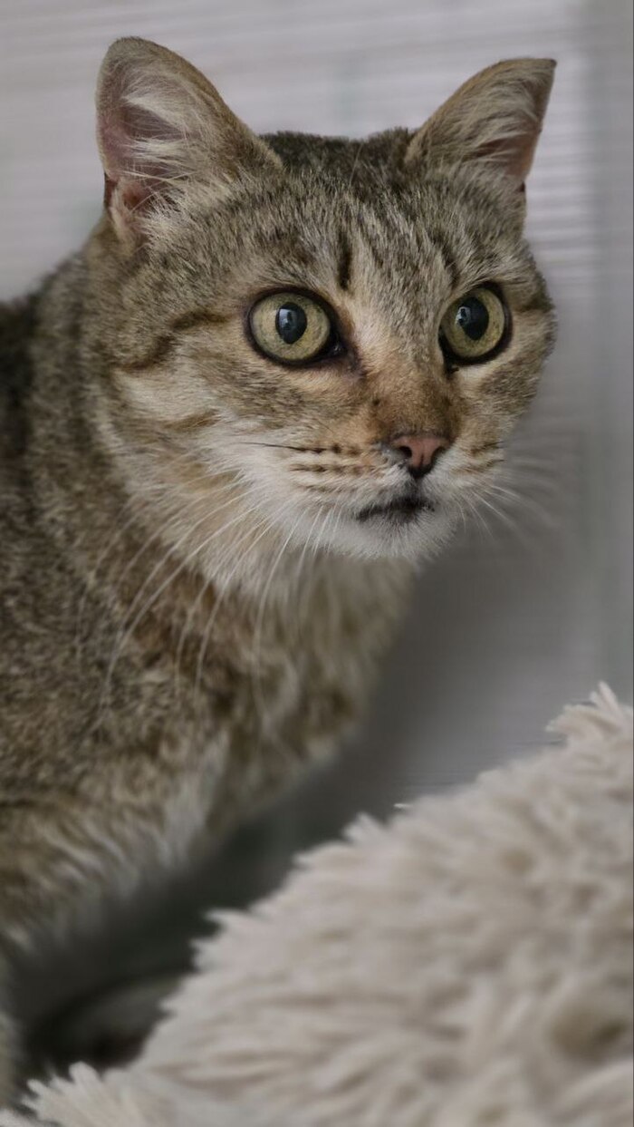 ���, ��, �� ��!) ������� ���� ������!)