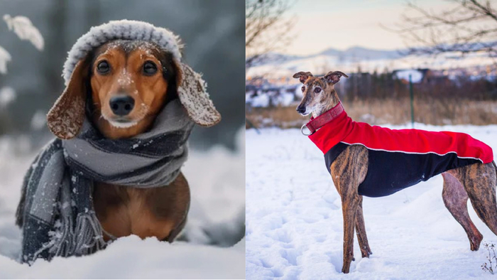 7 �����, ������� ������������� ����� ������ �����