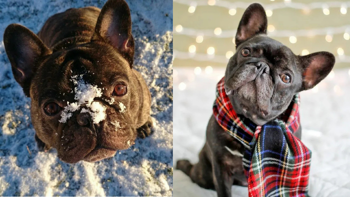 7 �����, ������� ������������� ����� ������ �����