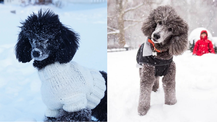 7 �����, ������� ������������� ����� ������ �����