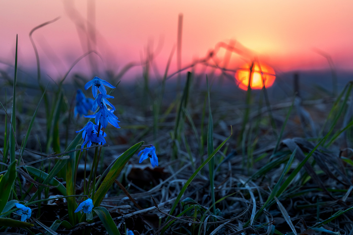 ��� �����