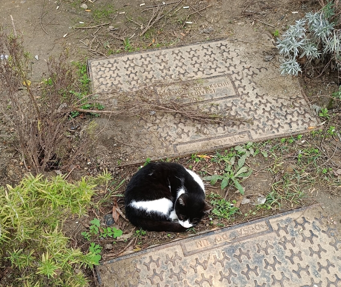 �������