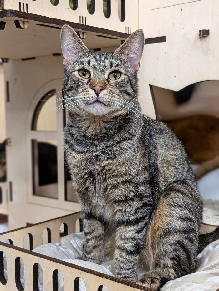 ����� ���� ���