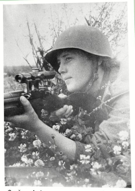 �������� �����������