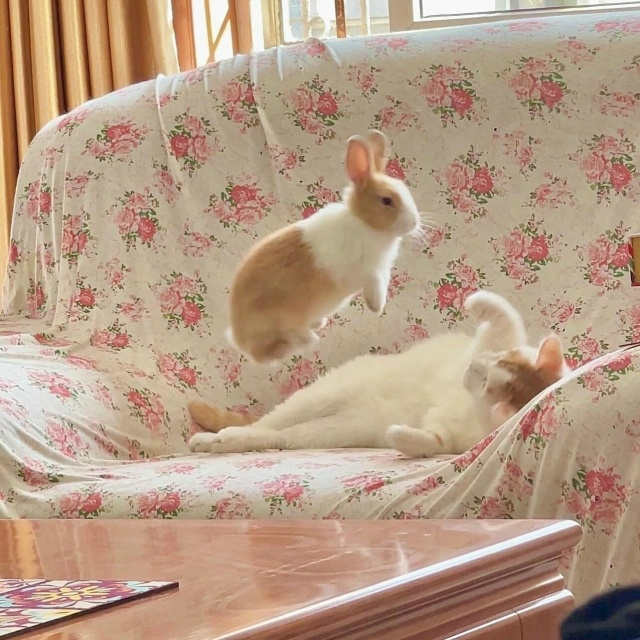 Запечатлил момент