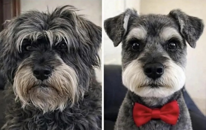 ����� ������ ����