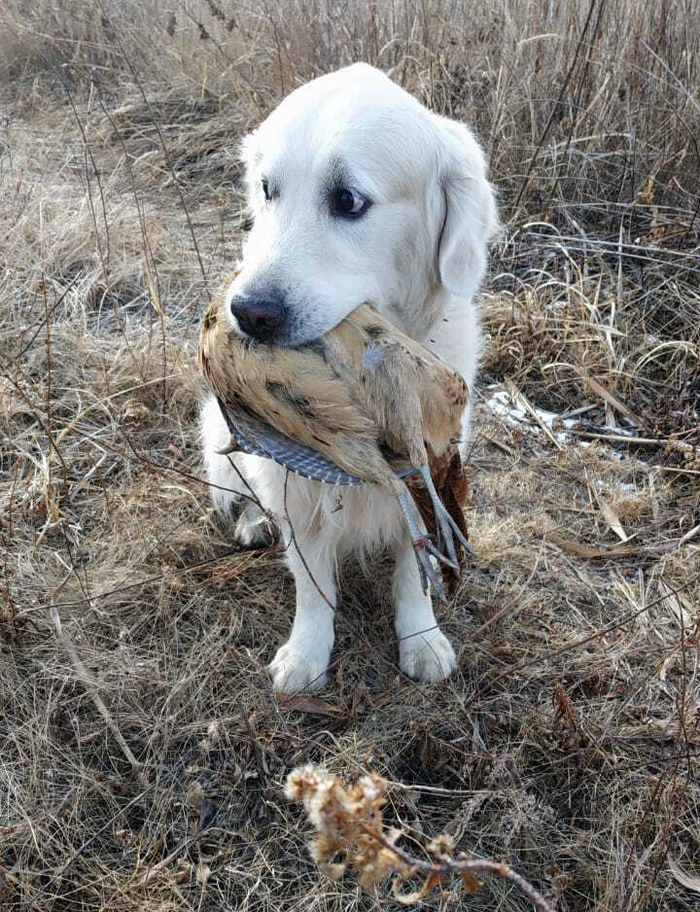 ������ ���� ����� ��� �� ������� - ��� �� ���, ��� ��� ���������