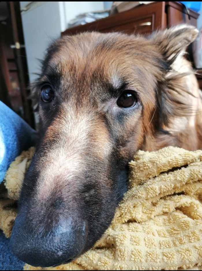 ������������