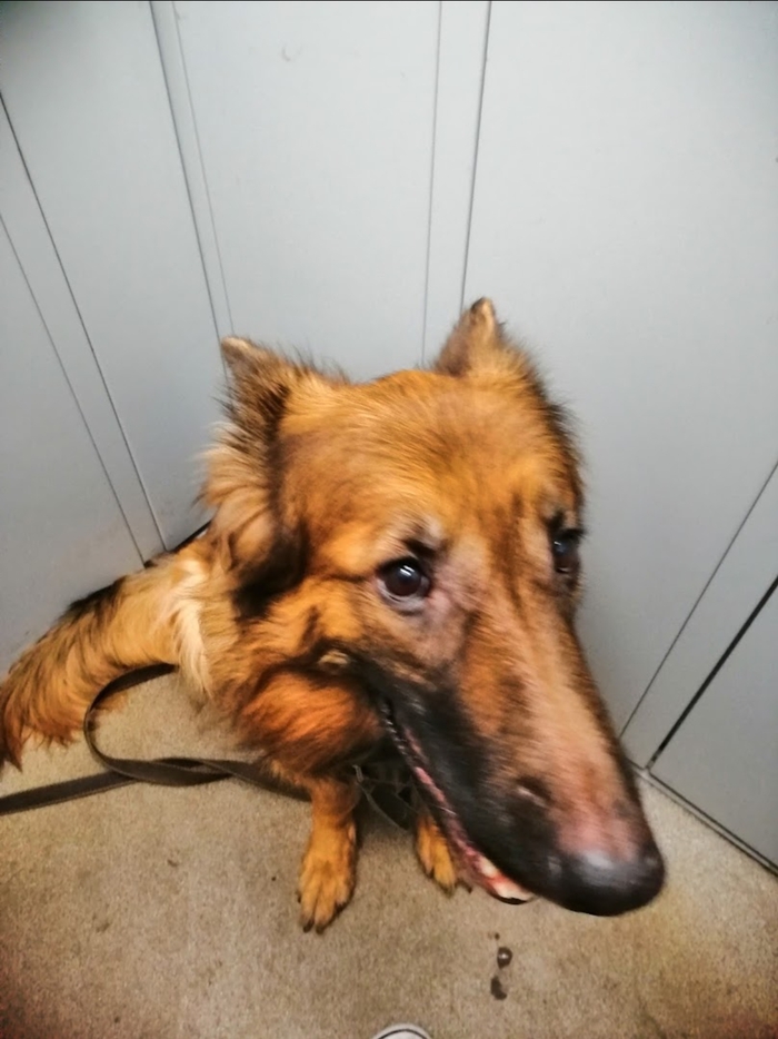 ��������