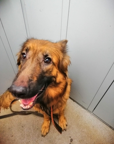 ����������!