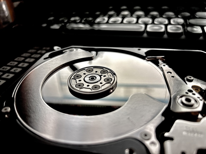 ������ ����