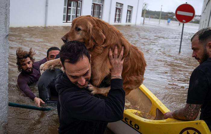 ����� "��������" ������ ������� ���������� � ����������//����: Adri Salido/Getty Images