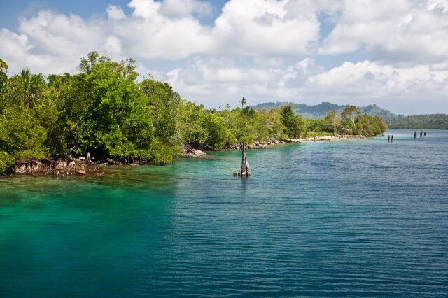 ���������� �������.