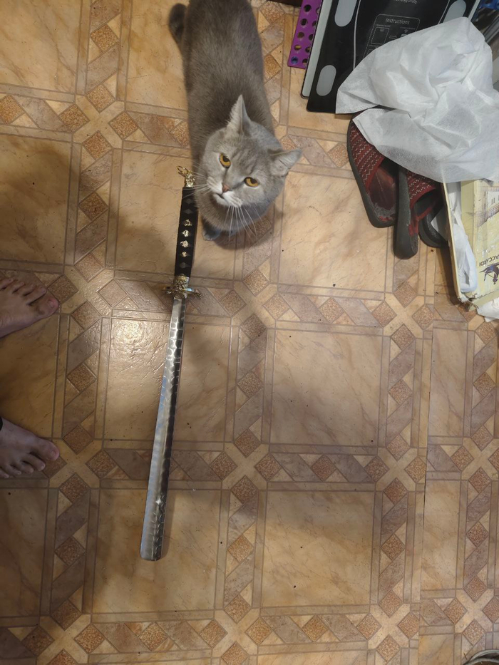 ������� ���� � �������