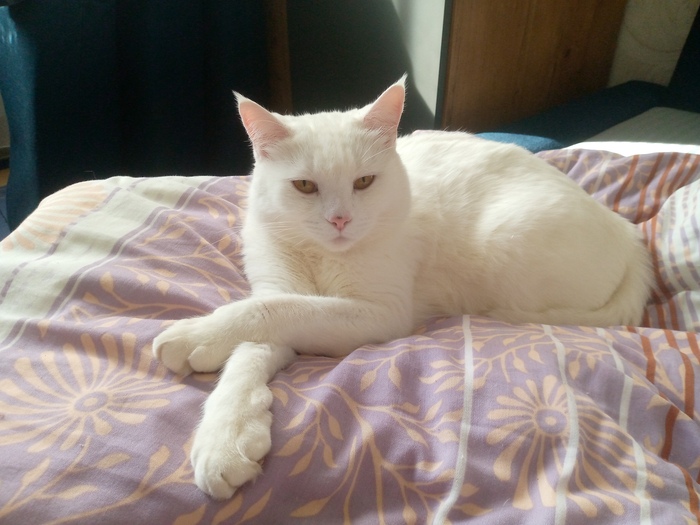 ��� ����� ��� ������!