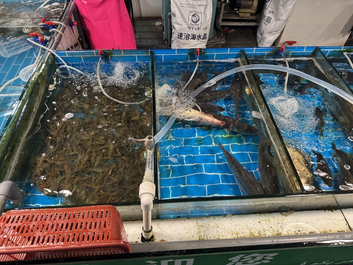 ��������, ����