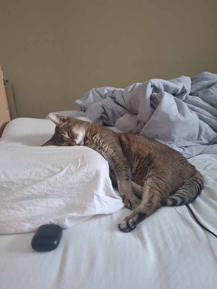 ���������� �������������� ������� ��� ������, ����������