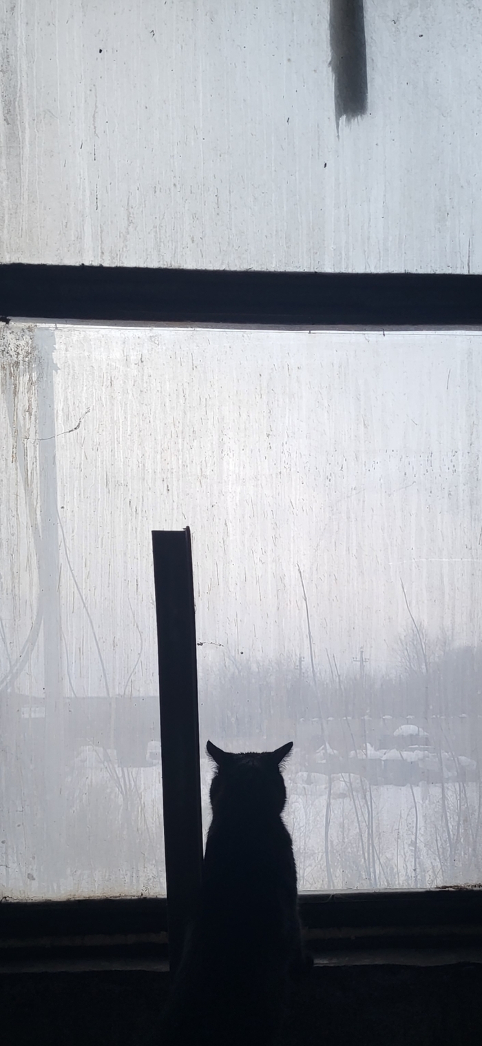 ���. �����. ������