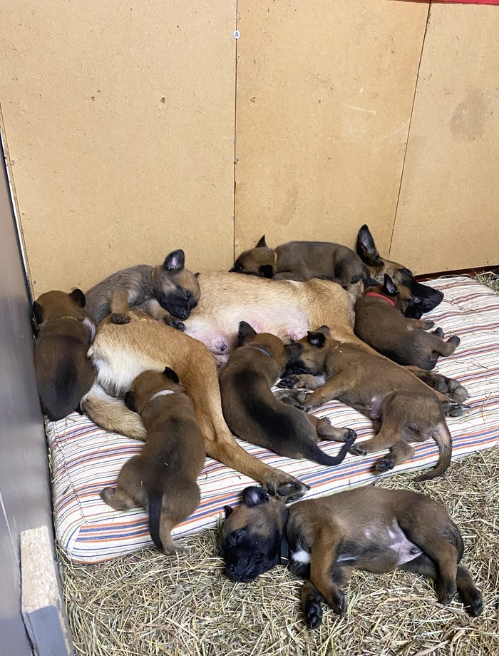 �� ���� ����� ������)