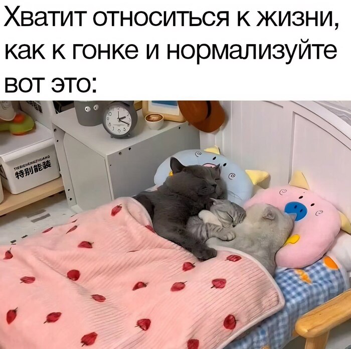 ���� ���� ���-�� ������ ������ ���