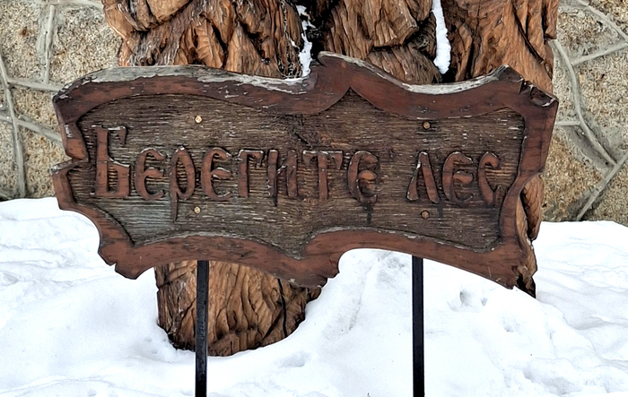 ���������?