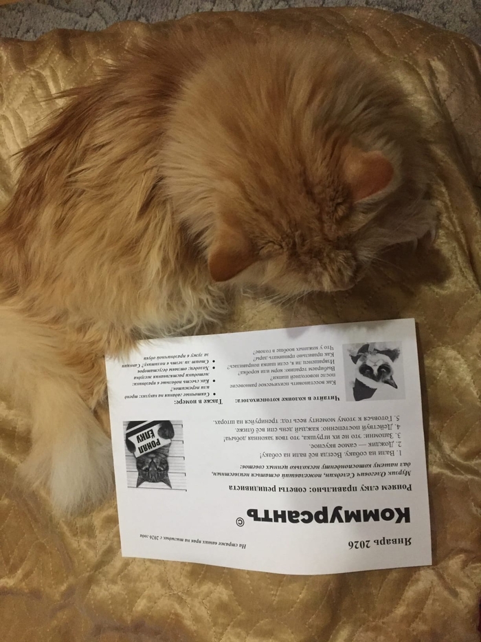 ������ ���������� ����  � ���� ��������� ������?