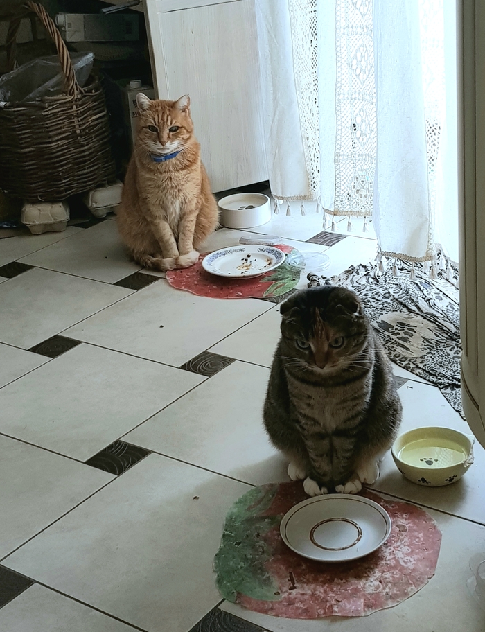 � �������� ����