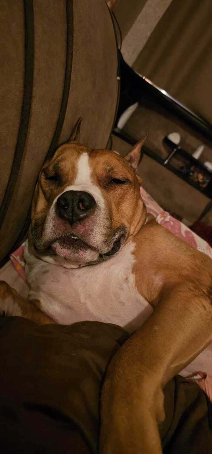 �����-�����, ��� �� ���� ������