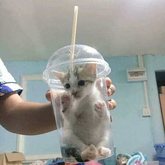 ��������� �� ���������