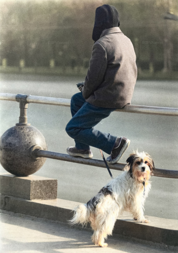 ��������: ����������� ������� ��������