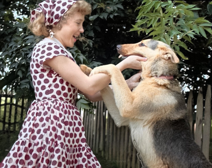 ��������: ����� ��������