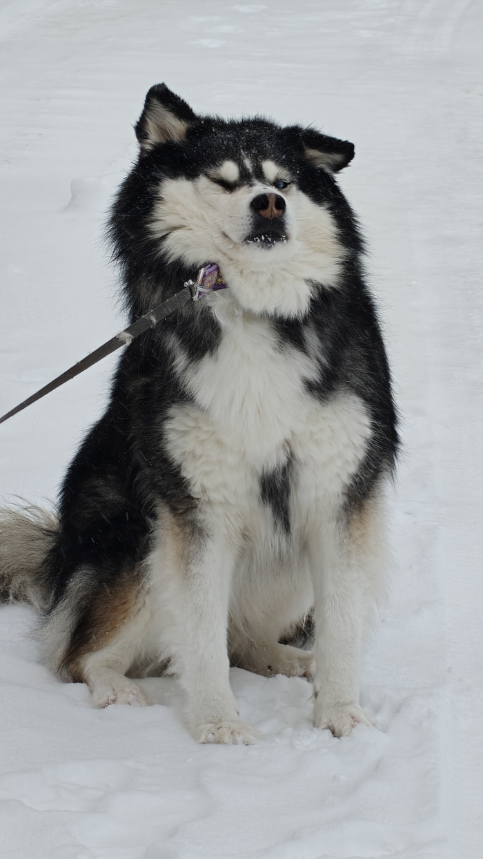 �� �����