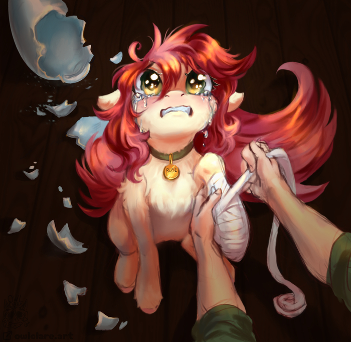 ����������