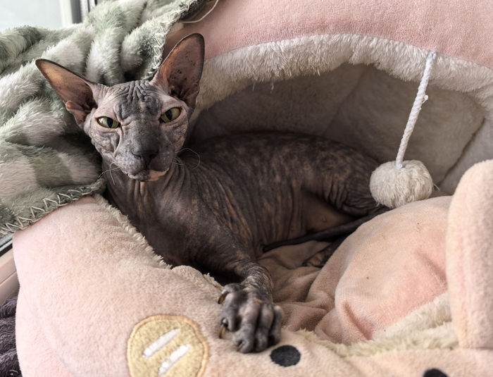 ���������