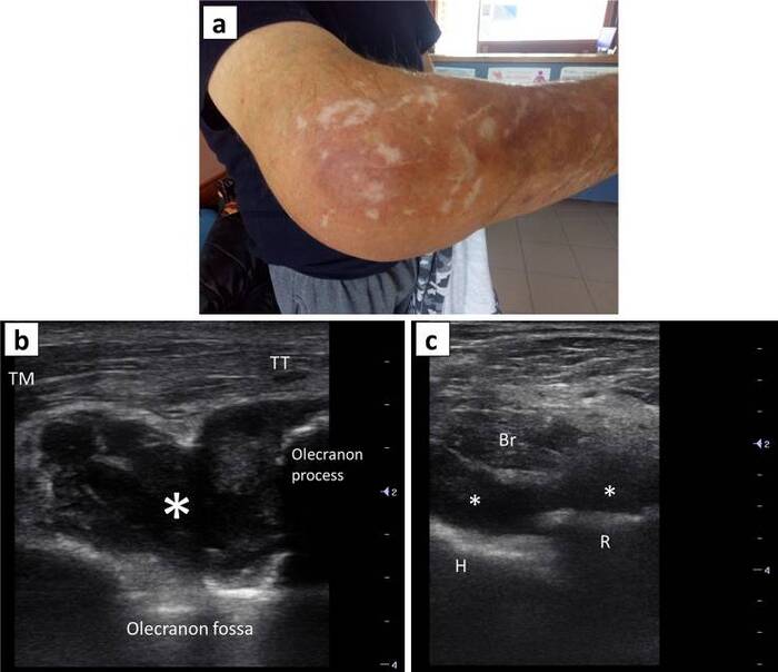 ����������� ������ �� ���.