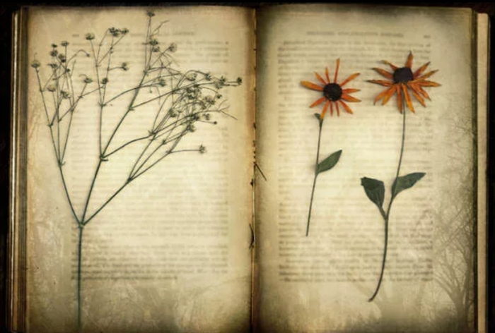 <!--noindex--><a href="https://pikabu.ru/story/krest_i_trava_taynaya_voyna_za_nashi_dushi_i_koshelki_13673735?u=https%3A%2F%2Fdzen.ru%2Fbelozer%3Fshare_to%3Dlink&t=https%3A%2F%2Fdzen.ru%2Fbelozer%3Fshare_to%3Dlink&h=66aa0528b3661189f492fc93102151a9e2eba693" title="https://dzen.ru/belozer?share_to=link" target="_blank" rel="nofollow noopener">https://dzen.ru/belozer?share_to=link</a><!--/noindex-->