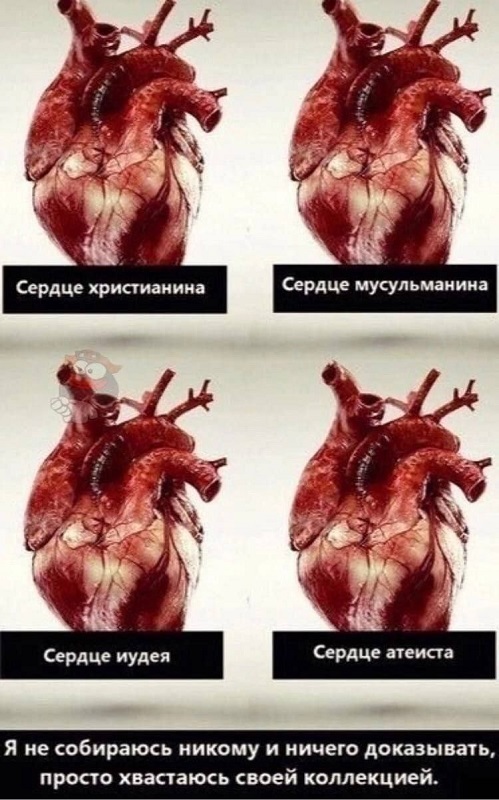 Снова религиозная тематика. Теперь из Питера